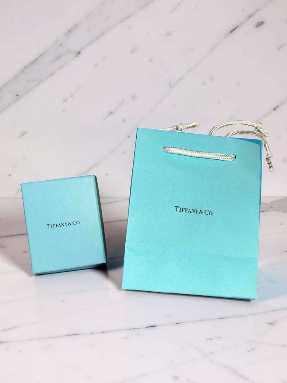Tiffany & Co. Jewelry Box and Gift Bag